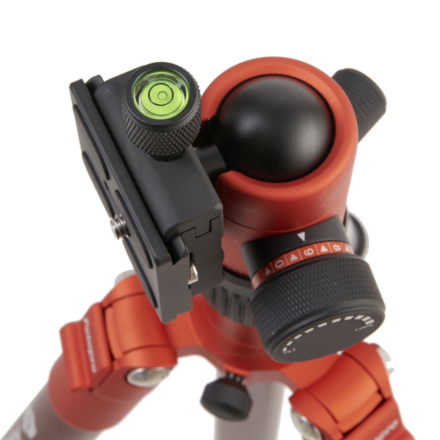 X-go Chameleon 8