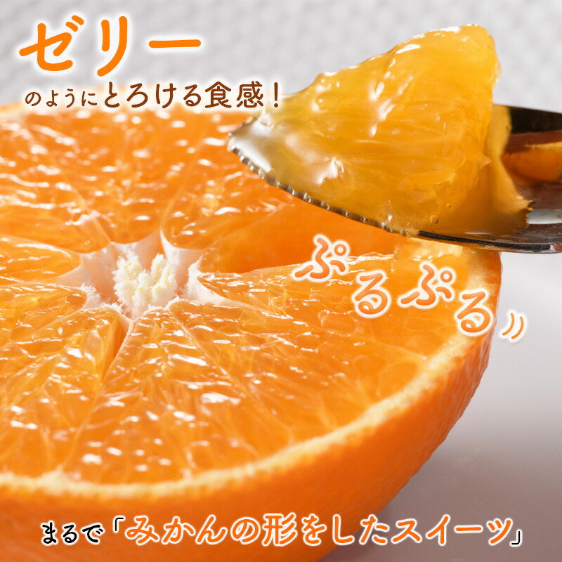 紅まどんな 4