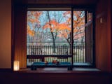 ペットと泊まれる露天風呂付き客室がある宿のおすすめ人気ランキング【2026年5月】 2