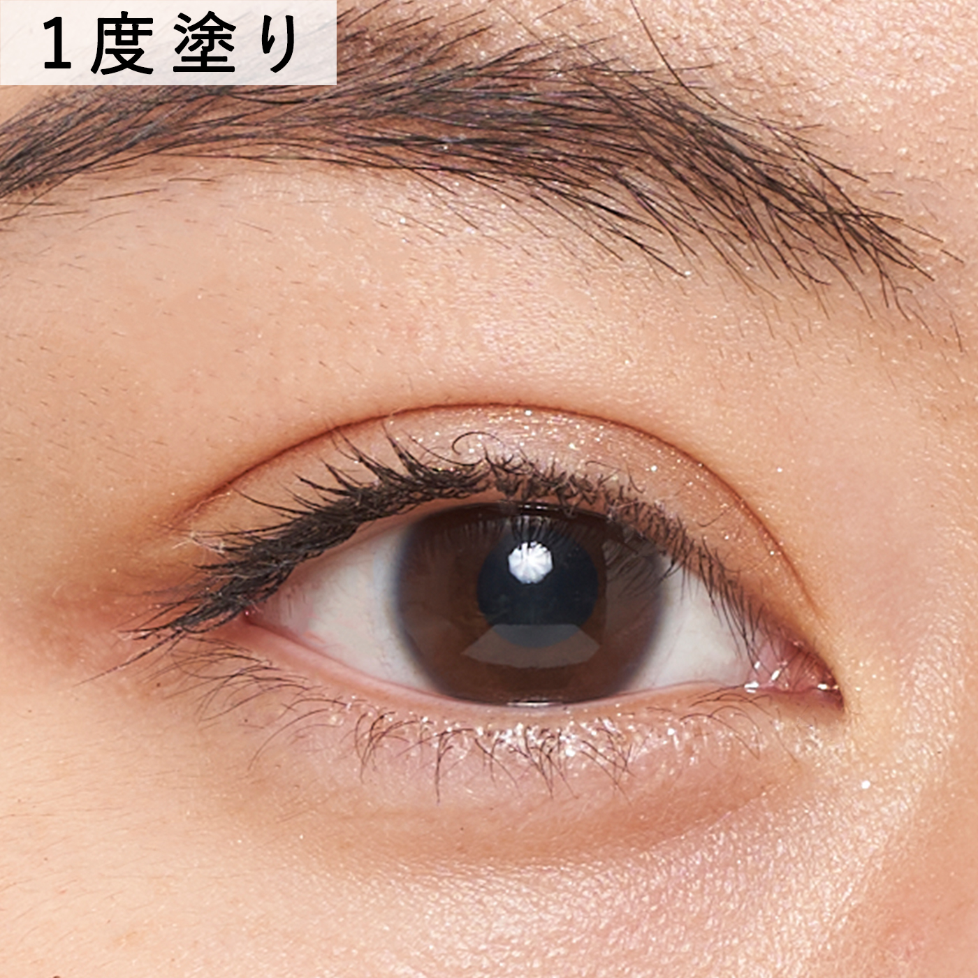 カラーステイ グレイズ スティック 5