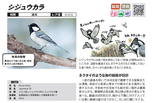 野鳥図鑑のおすすめ人気ランキング49選【2024年】 | マイベスト
