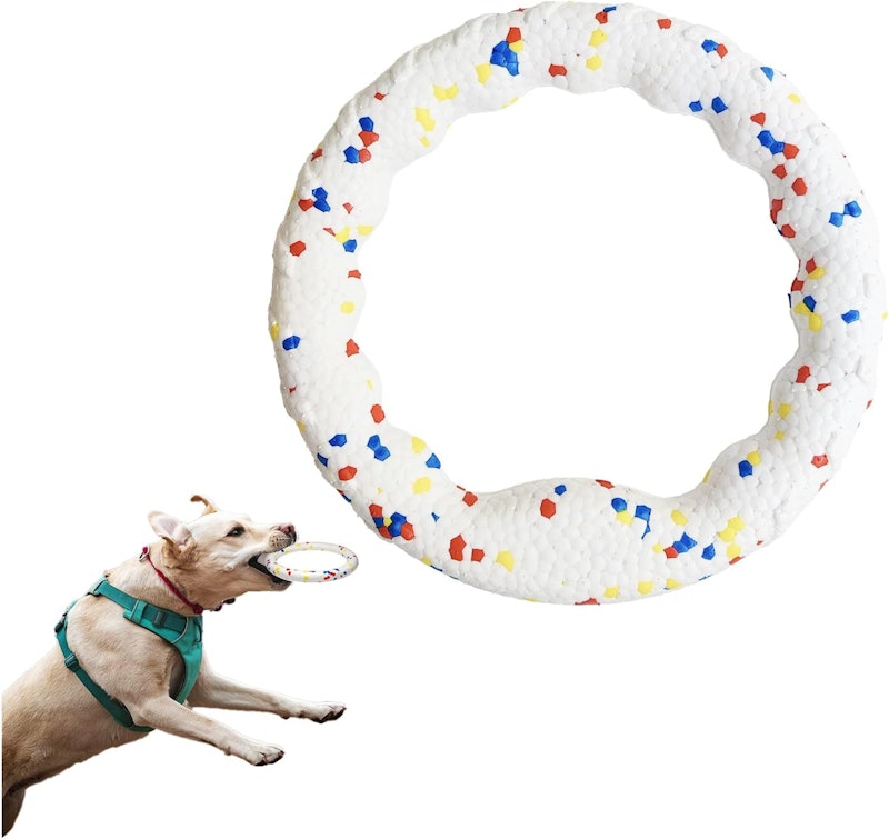 犬用おもちゃ 1