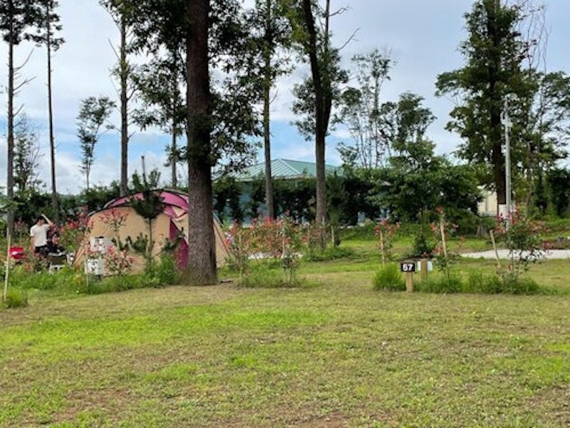 CAMP さくらの丘 1