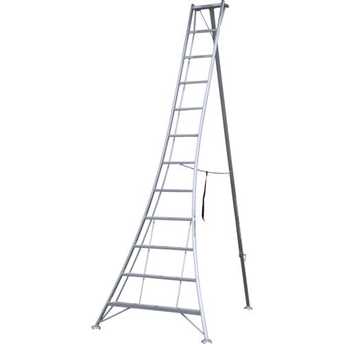 アルインコ 伸縮脚立(ステップ幅広)210cm 天板高さ1.88-2.18m PRW210FX