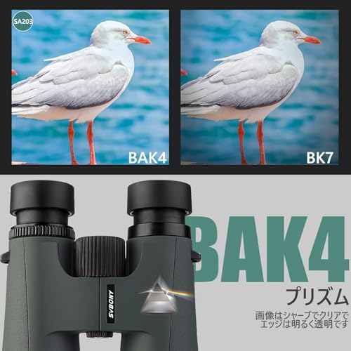 双眼鏡 6
