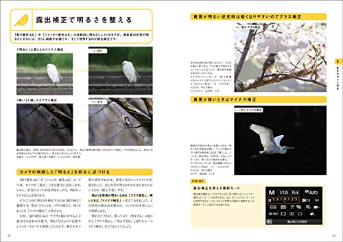 図解でわかる野鳥撮影入門  2