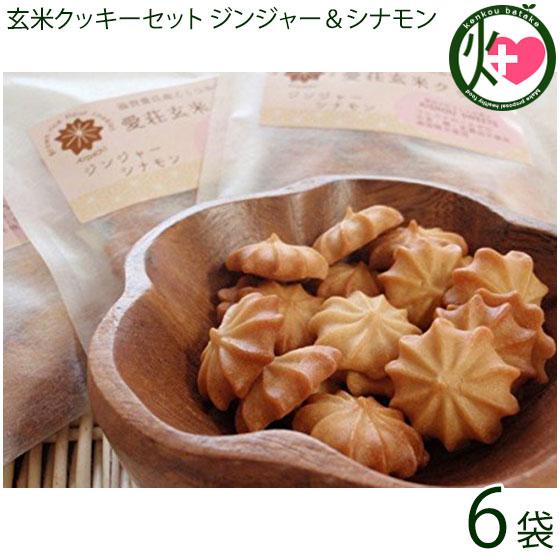 玄米クッキー ジンジャーシナモン 1