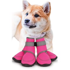 22年 犬用靴 靴下のおすすめ人気ランキング40選 Mybest 22年 犬用靴 靴下のおすすめ人気ランキング40選 Mybest
