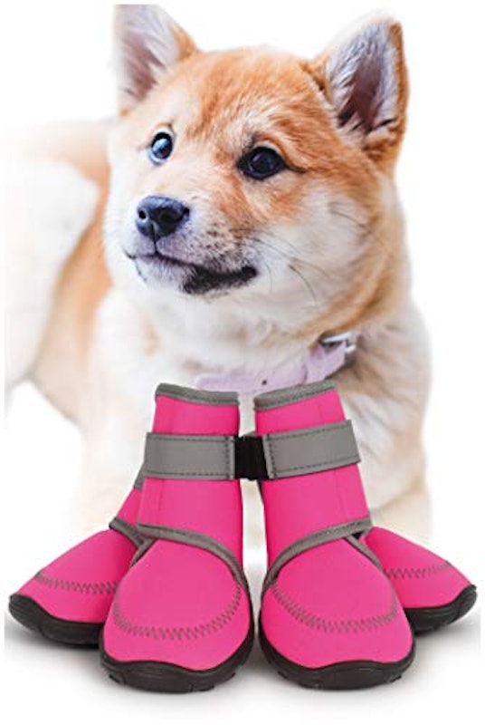 犬猫工房 犬靴 1