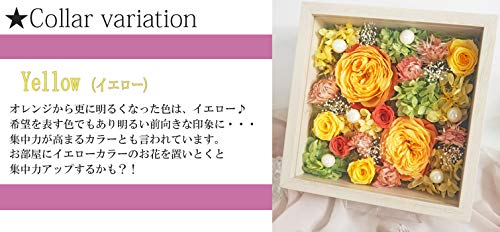 フール 5
