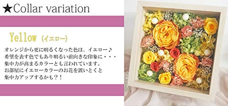フール 5