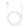 Apple Japan Lightning 1