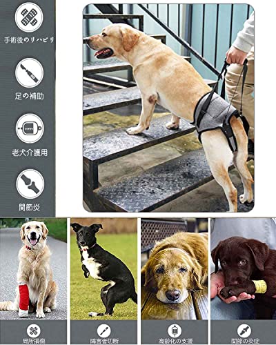 Amazon | UOSIA 犬用ハーネス リードセット 犬用うんちバッグ付き