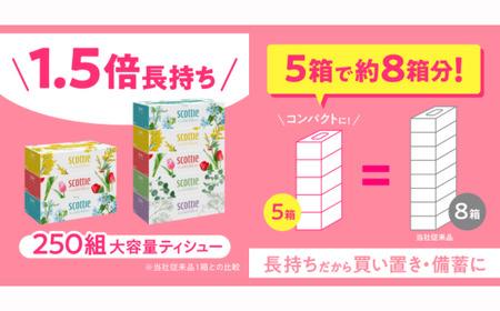 スコッティティシューフラワーボックス 2