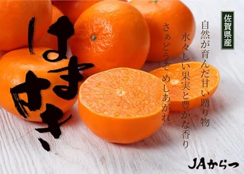 はまさき 2