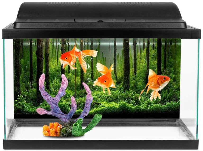 56 Off 節電バックスクリーン キョーリン 60cm水槽用 サイズ M レイアウト用品