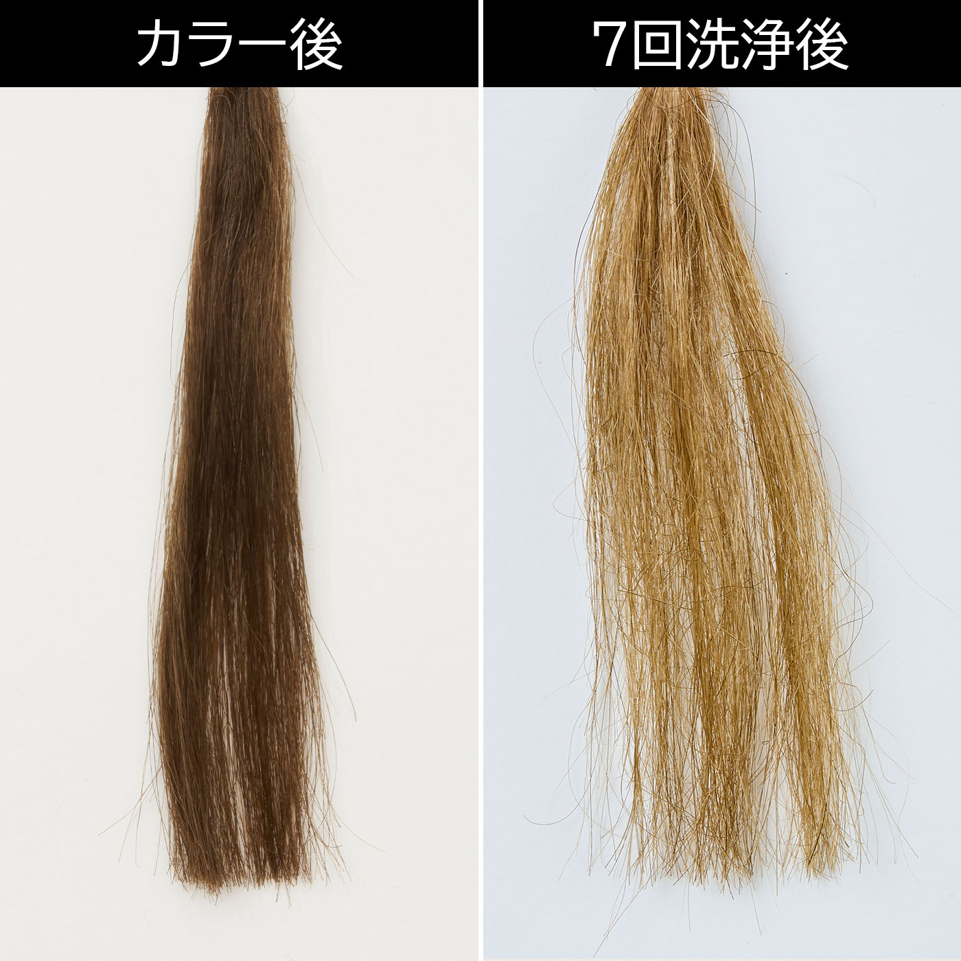 香りと艶カラー 4