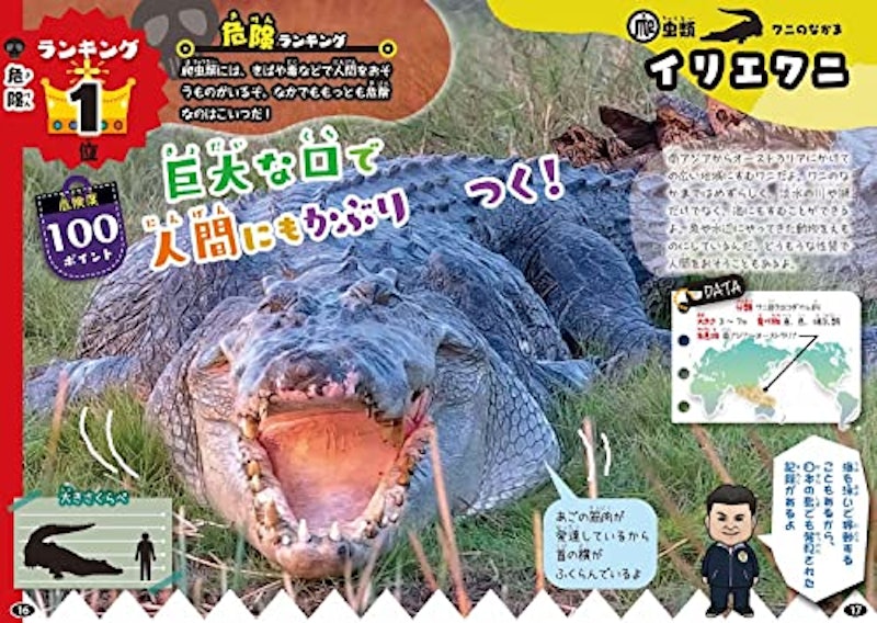 白輪園長の爬虫類・両生類ランキング大図鑑 3