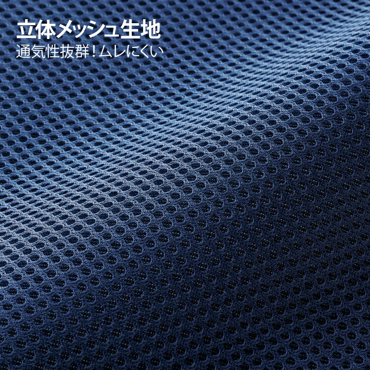 身体と眠りのプロが考えた　腰まくら 10