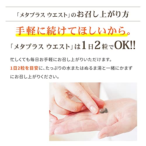 メタプラス ウエスト 8