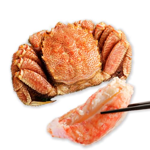毛蟹 姿 1