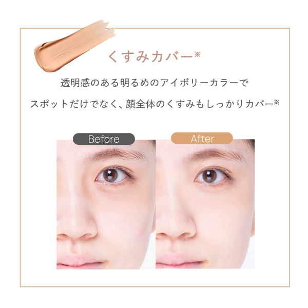 パレットコンシーラー 6