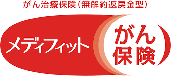 メディフィットがん保険 1