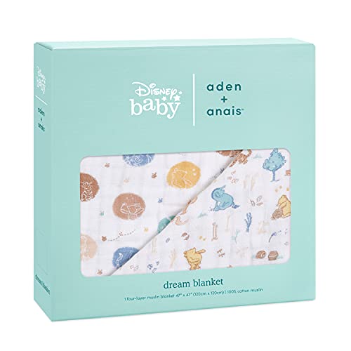 classic dream blanket 2