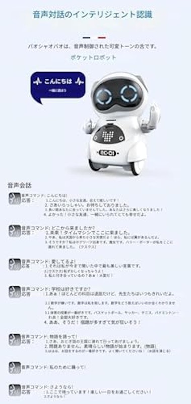 ポケットロボット 6