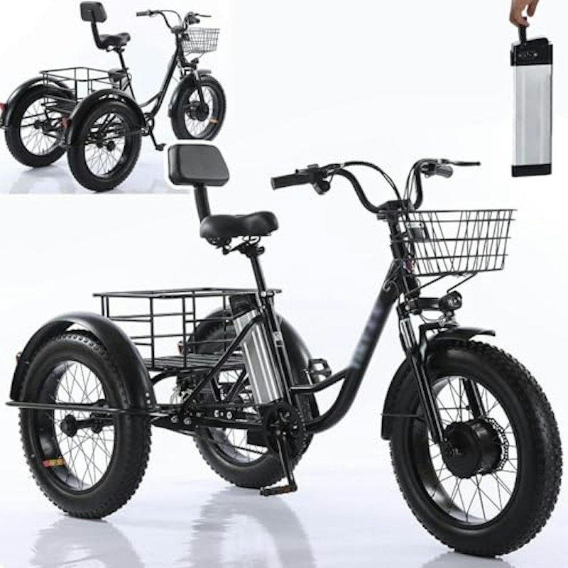 大人用電動三輪車 1