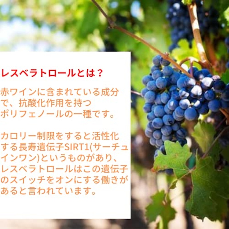 レスベラトロール 3