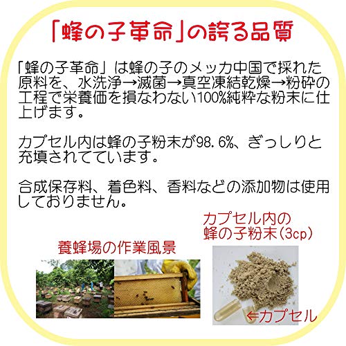 蜂の子革命 4