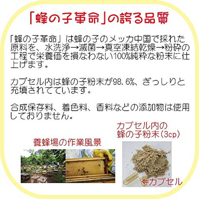蜂の子革命 4