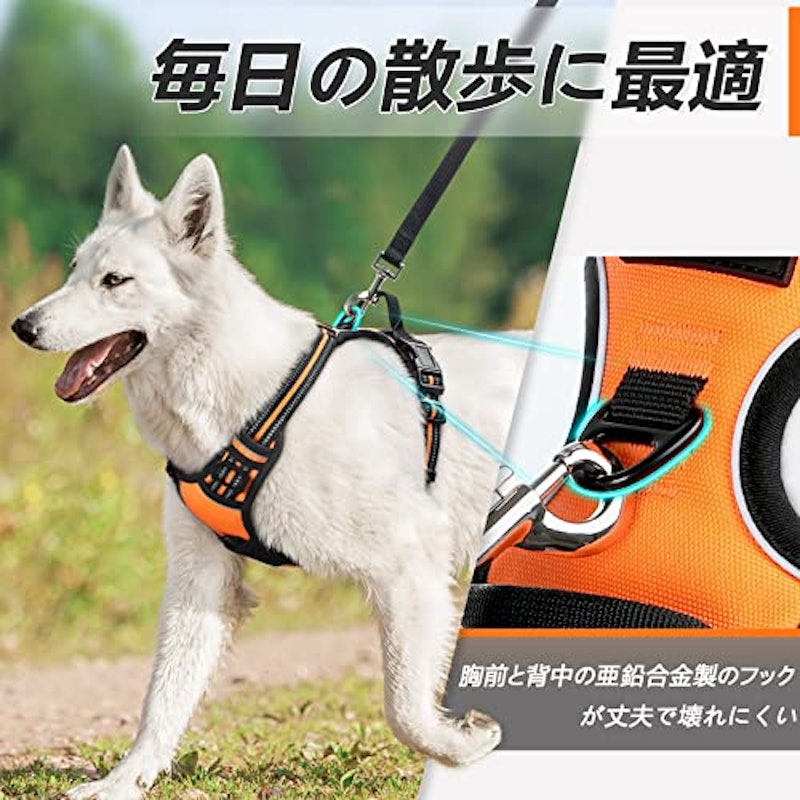 ハーネス 2