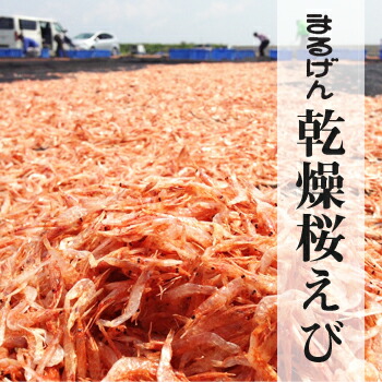 乾燥桜えび 6