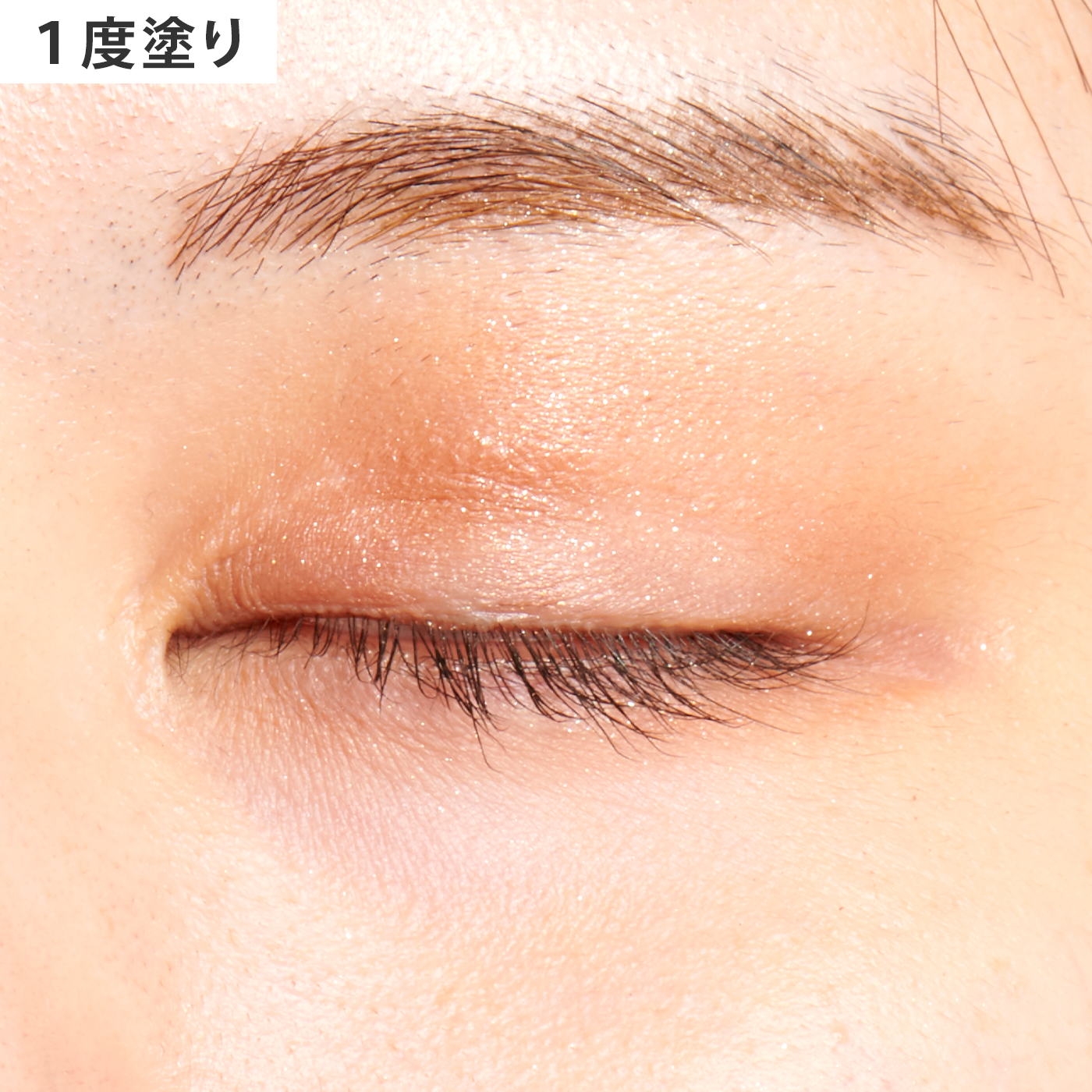 プロ アイ パレット 7