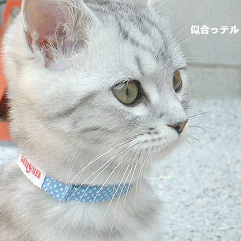 子猫用はじめて首輪 3