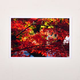 CANON PIXUS TS8730をレビュー!クチコミ・評判をもとに徹底検証 4