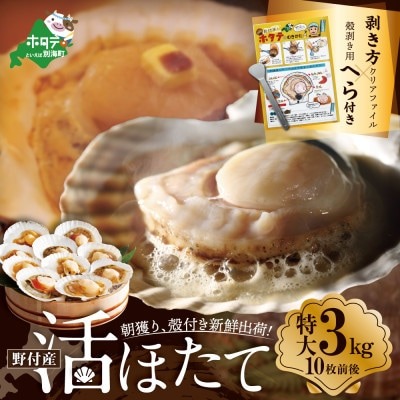 活ホタテ貝 1