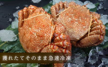 3D冷凍ボイル毛蟹 2