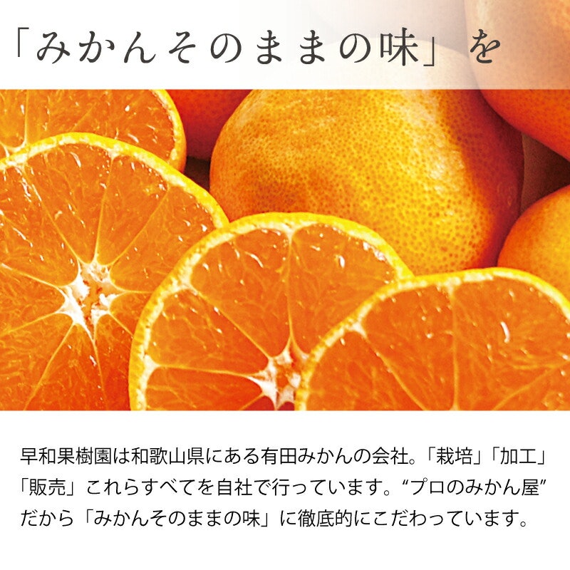 まるごとみかんゼリーのプレミアムBOX 2