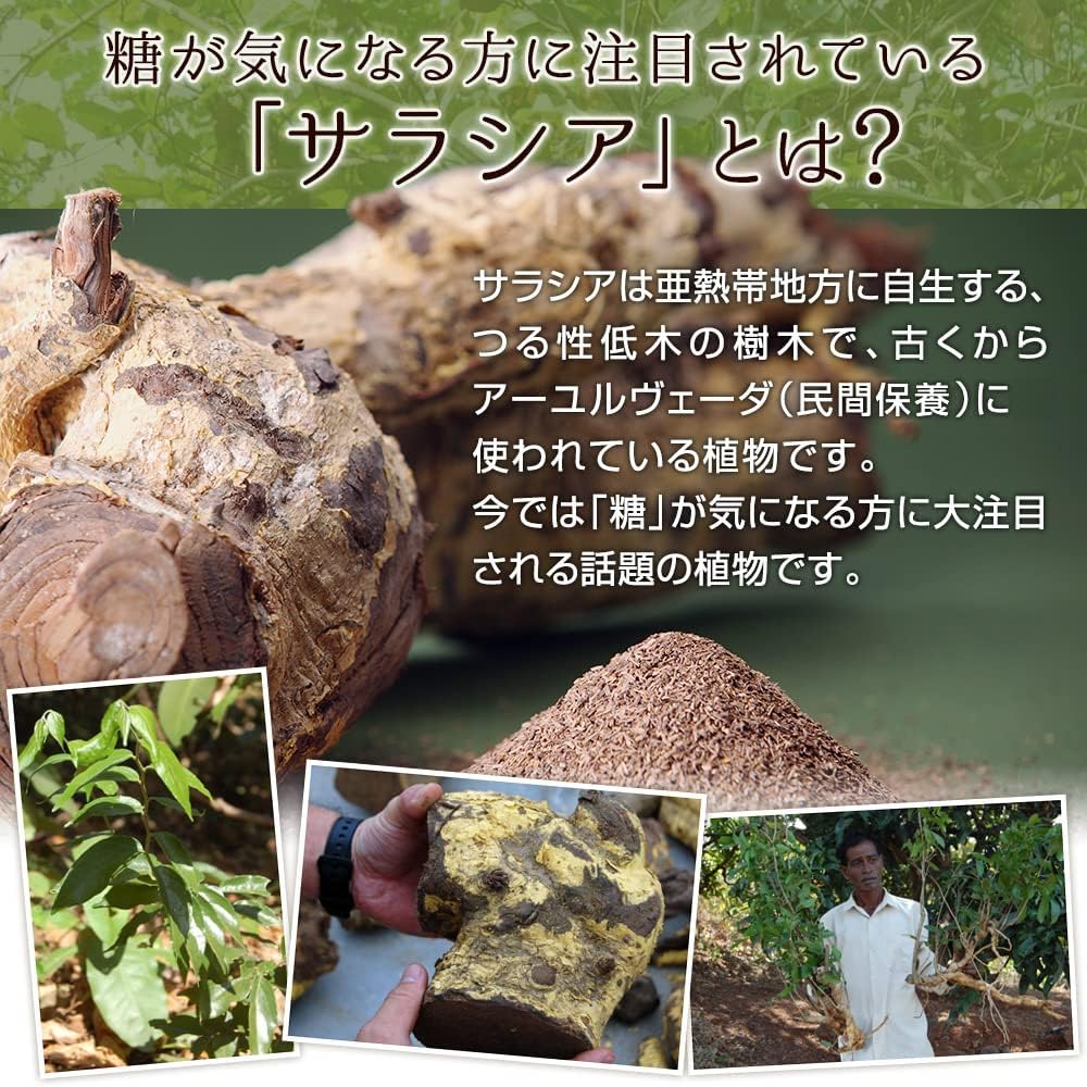 サラシア茶 3