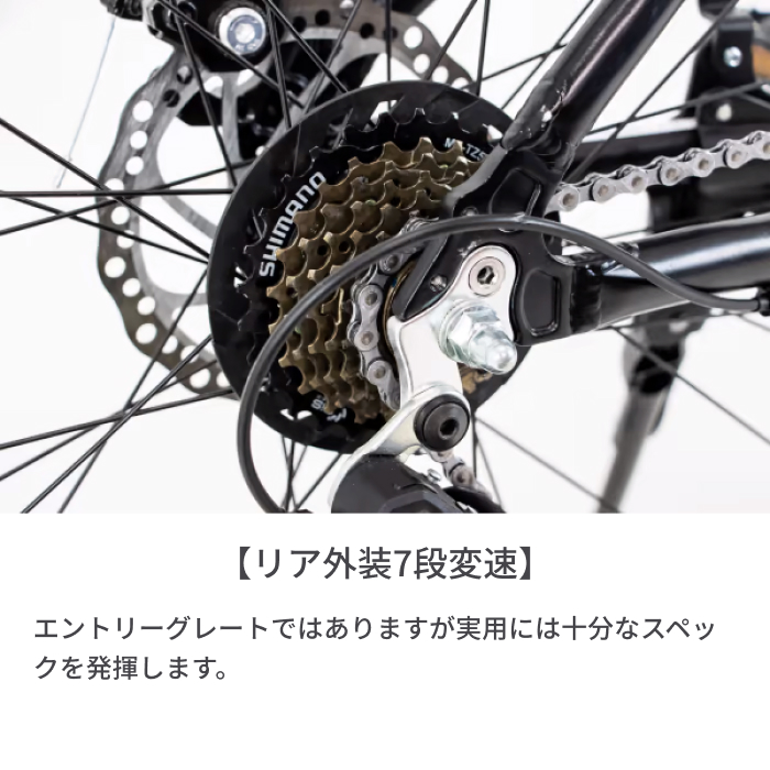 FESMOTOR 6