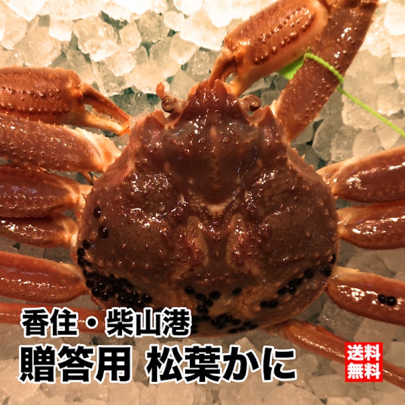 香住の活松葉かに 1