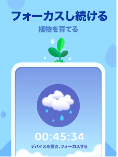 フォーカス・プラント 2