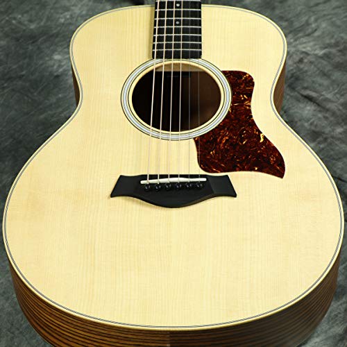 TAYLOR GS Mini Rosewood 4