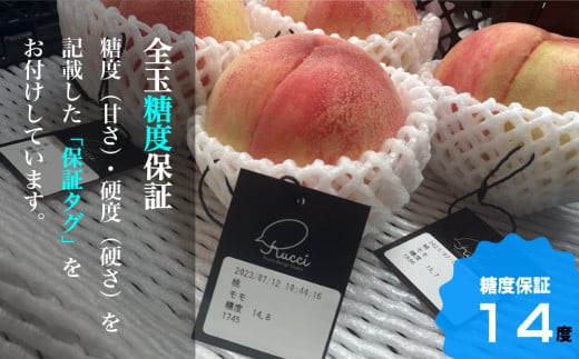 一宮の大玉桃 2