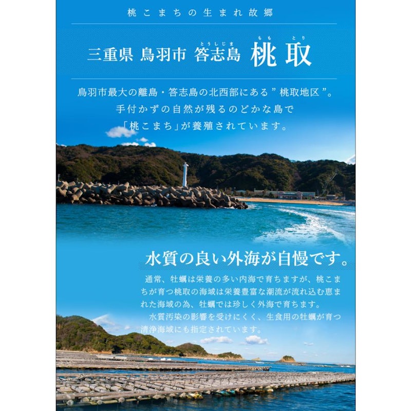 桃こまち 冷凍牡蠣 7