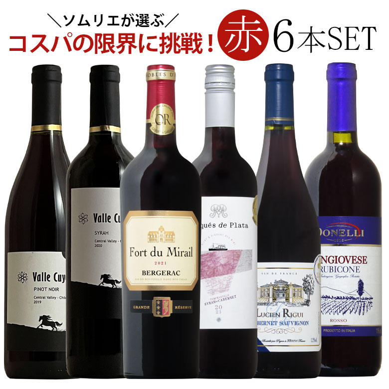 赤ワイン6本飲み比べセット 1