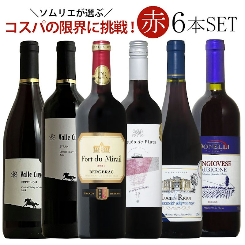 赤ワイン6本飲み比べセット 1